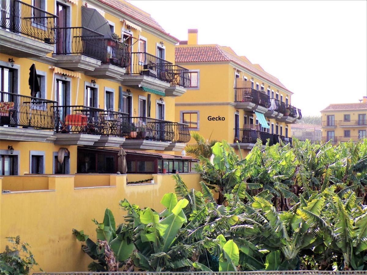 Gecko Apartment Tazacorte Exterior foto